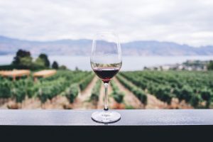 Wine Tours Greece